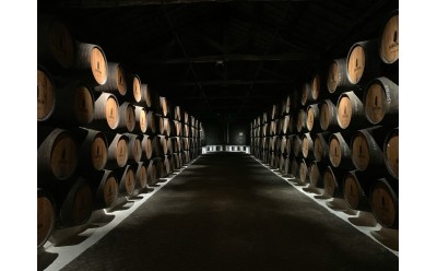 Tipos de barricas para vino